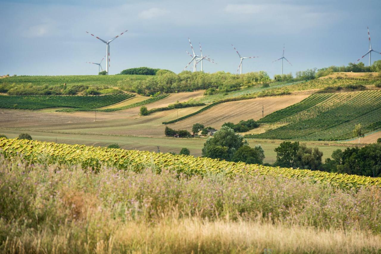 Отель Weingut Martinshof Sankt Ulrich  Экстерьер фото